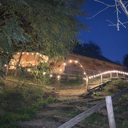Casuta Bunicilor Villa Viseu de Jos Ngoại thất bức ảnh