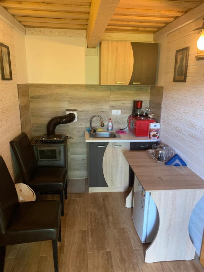 Casuta Bunicilor Villa Viseu de Jos Ngoại thất bức ảnh