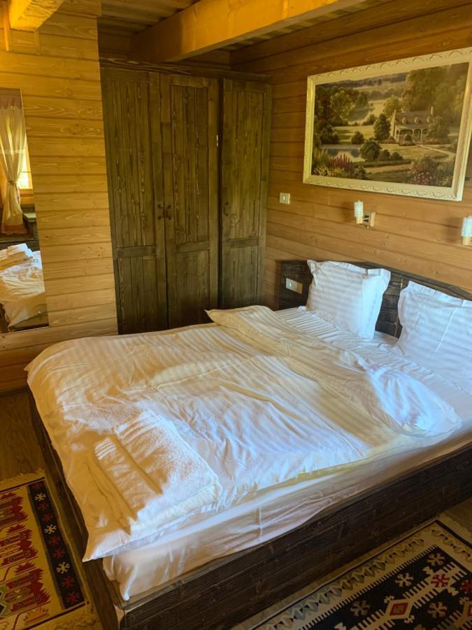 Casuta Bunicilor Villa Viseu de Jos Ngoại thất bức ảnh