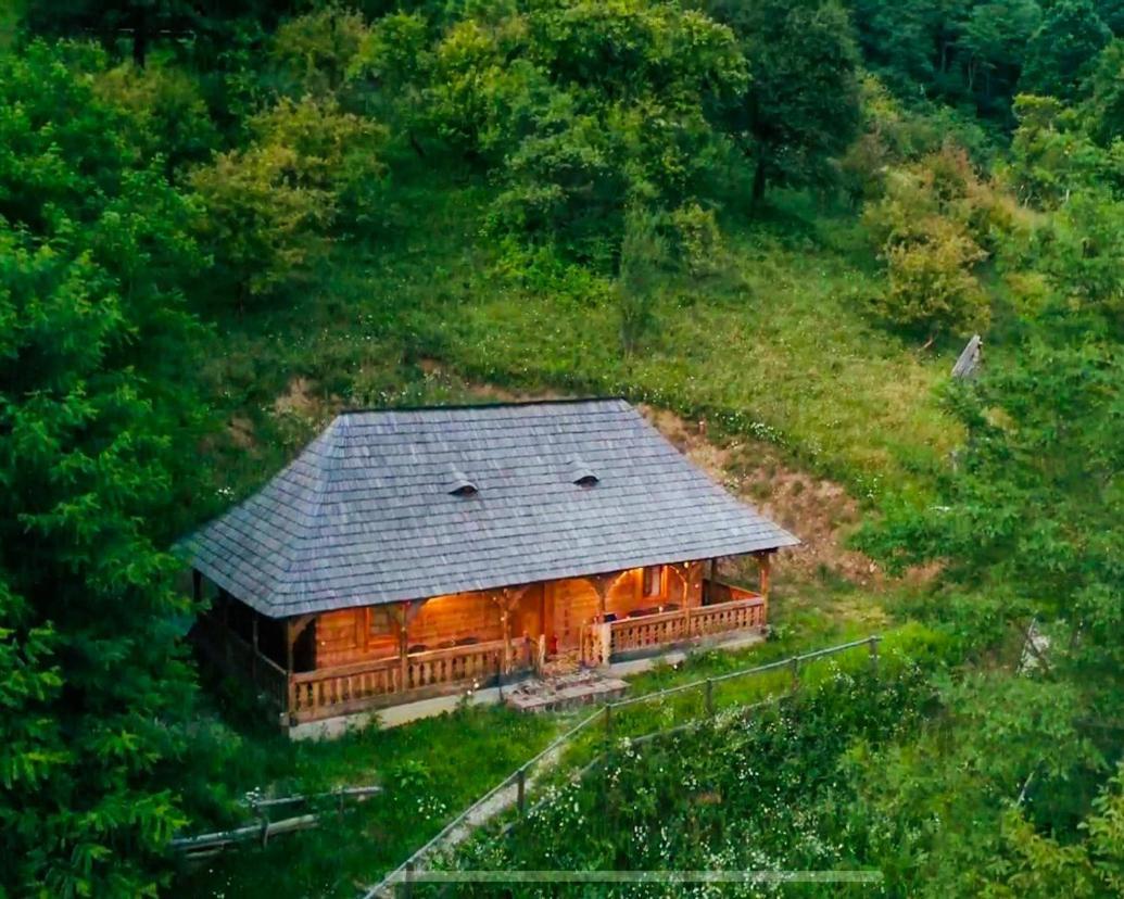 Casuta Bunicilor Villa Viseu de Jos Ngoại thất bức ảnh