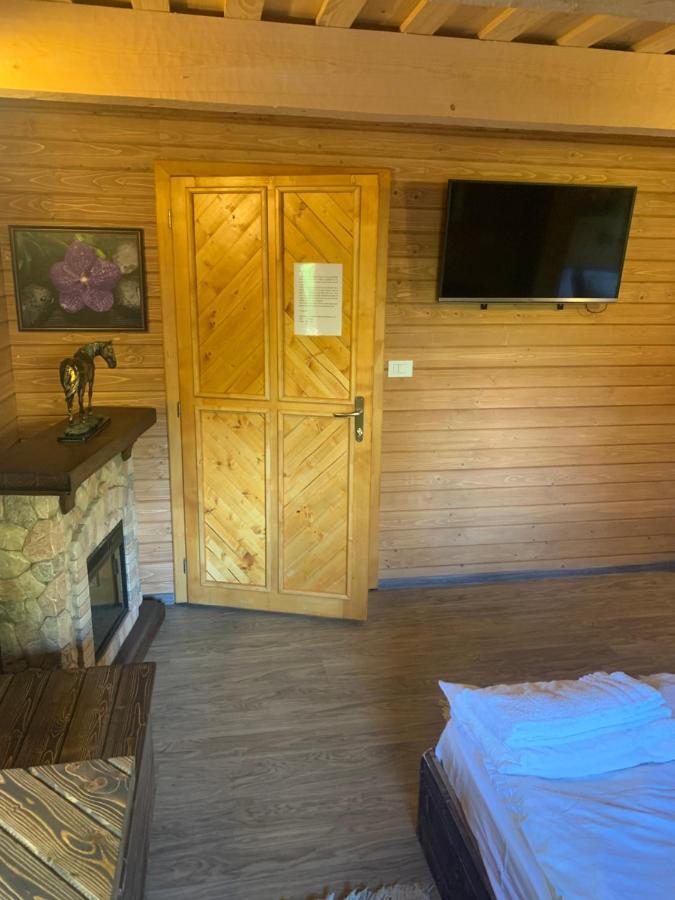Casuta Bunicilor Villa Viseu de Jos Ngoại thất bức ảnh