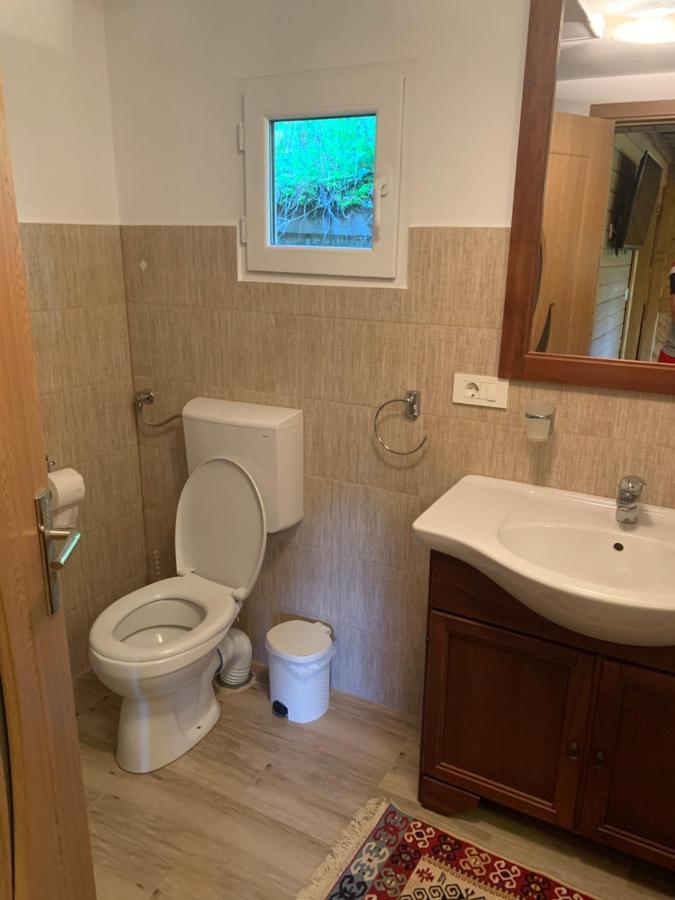 Casuta Bunicilor Villa Viseu de Jos Ngoại thất bức ảnh